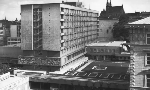 D116 Hotel International